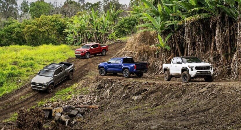 You are currently viewing Toyota Tacoma, la lealtad hecha camioneta.